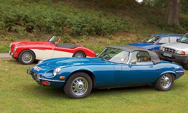 Half the membership turnout. Ken's Healey and Mike's Jag.