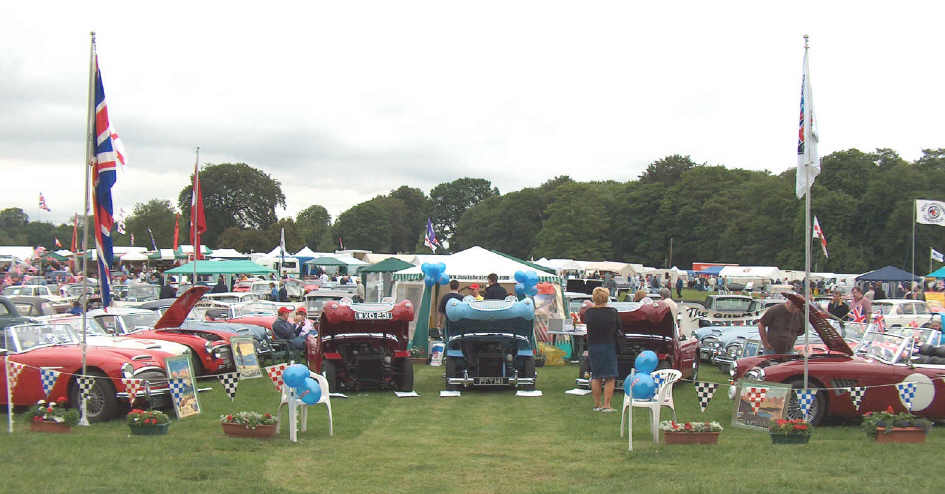 Prizewinning line up on the Club stand. Saturday.